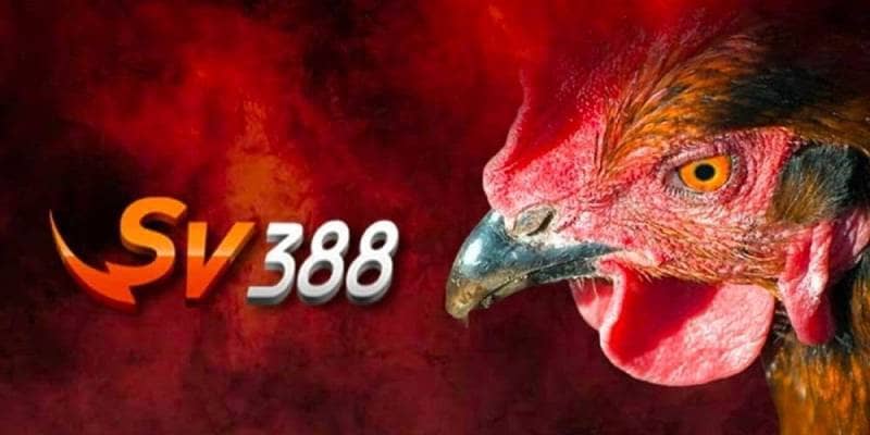 SV388 lừa đảo